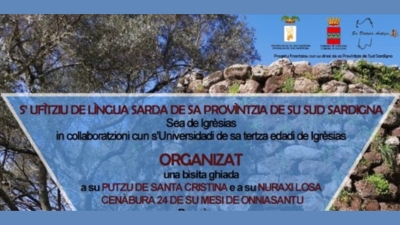 Bìsita ghiada in Lìngua Sarda a su Putzu sacru de Santa Cristina e a su Nuraxi Losa